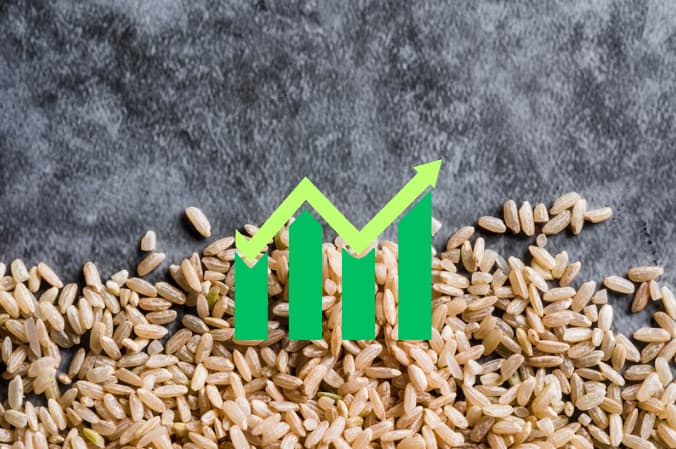 Как да водим ефективен стопански дневник